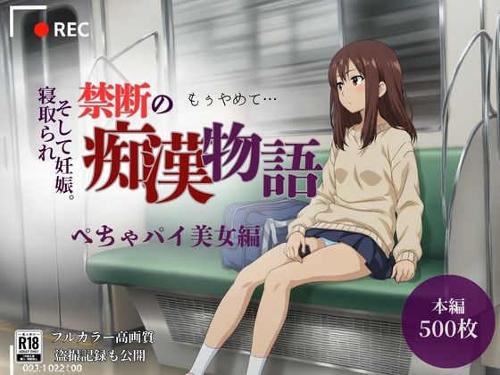 【厳選500名】禁断の痴漢物語「全記録」 ぺちゃパイ美女編