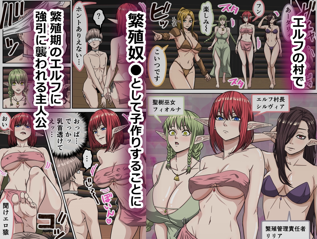 エルフ村で繁殖奴○になりました 画像2