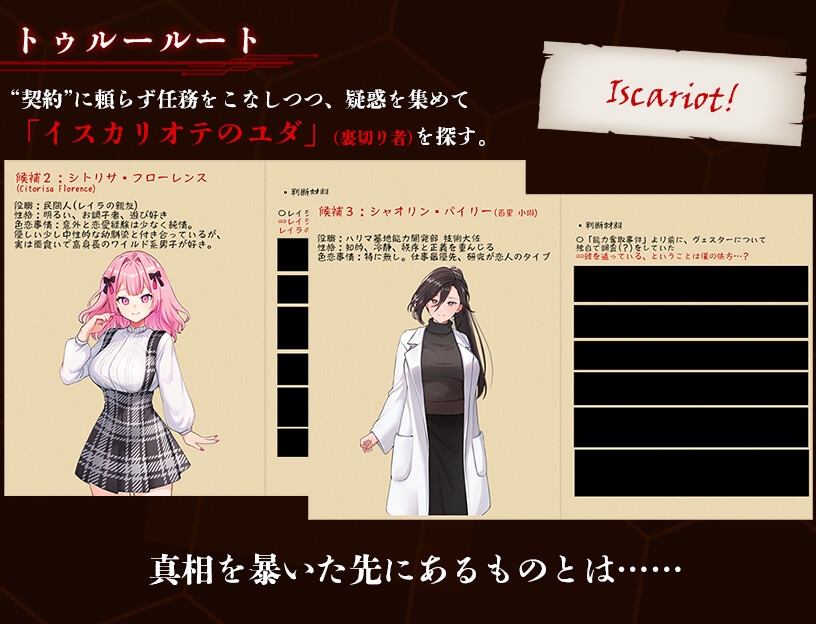 奪略少女レイラ～セカイのためにこの身を捧ぐ供儀契約～img09