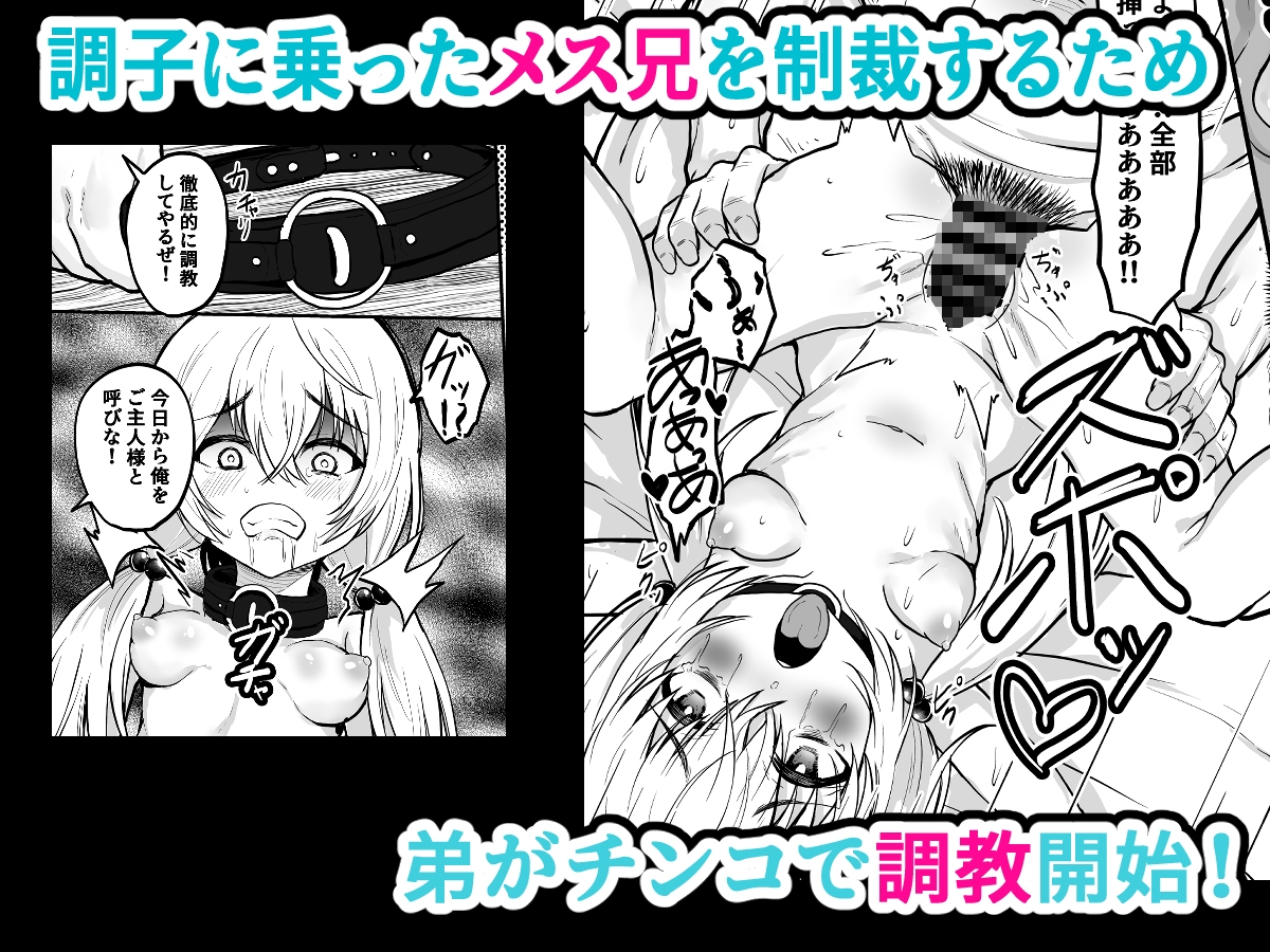 TSメス兄 性転換した兄を調教して飼いならす！ 画像4