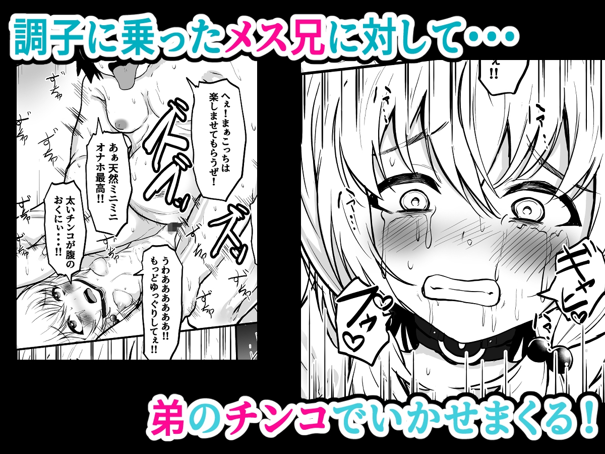 TSメス兄 性転換した兄を調教して飼いならす！ 画像5