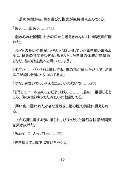 甘き檻の底～美貌の凶悪犯は専属看守を溺愛し、快楽の沼へと引きずり込む～ 画像5
