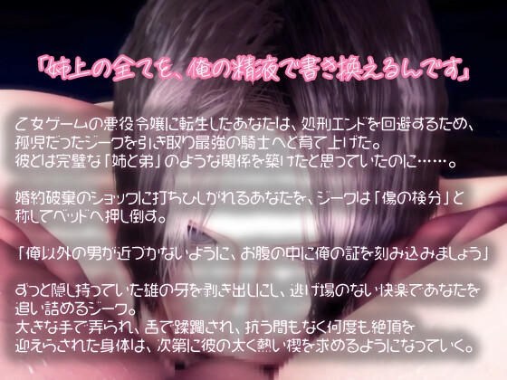 騎士×年下×狂愛。忠犬騎士の下剋上SEX。激しいイラマチオと連続中出しで、婚約破棄の夜に永遠に逃げられない種付けをされて…。 画像1