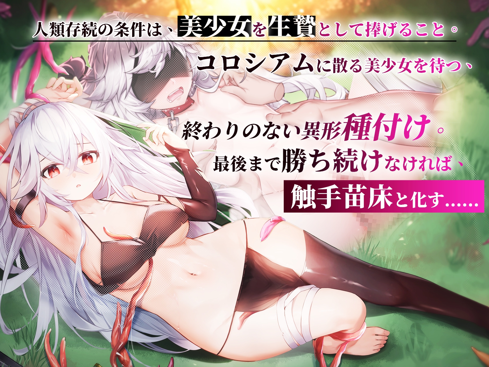 森海幻夢 画像3