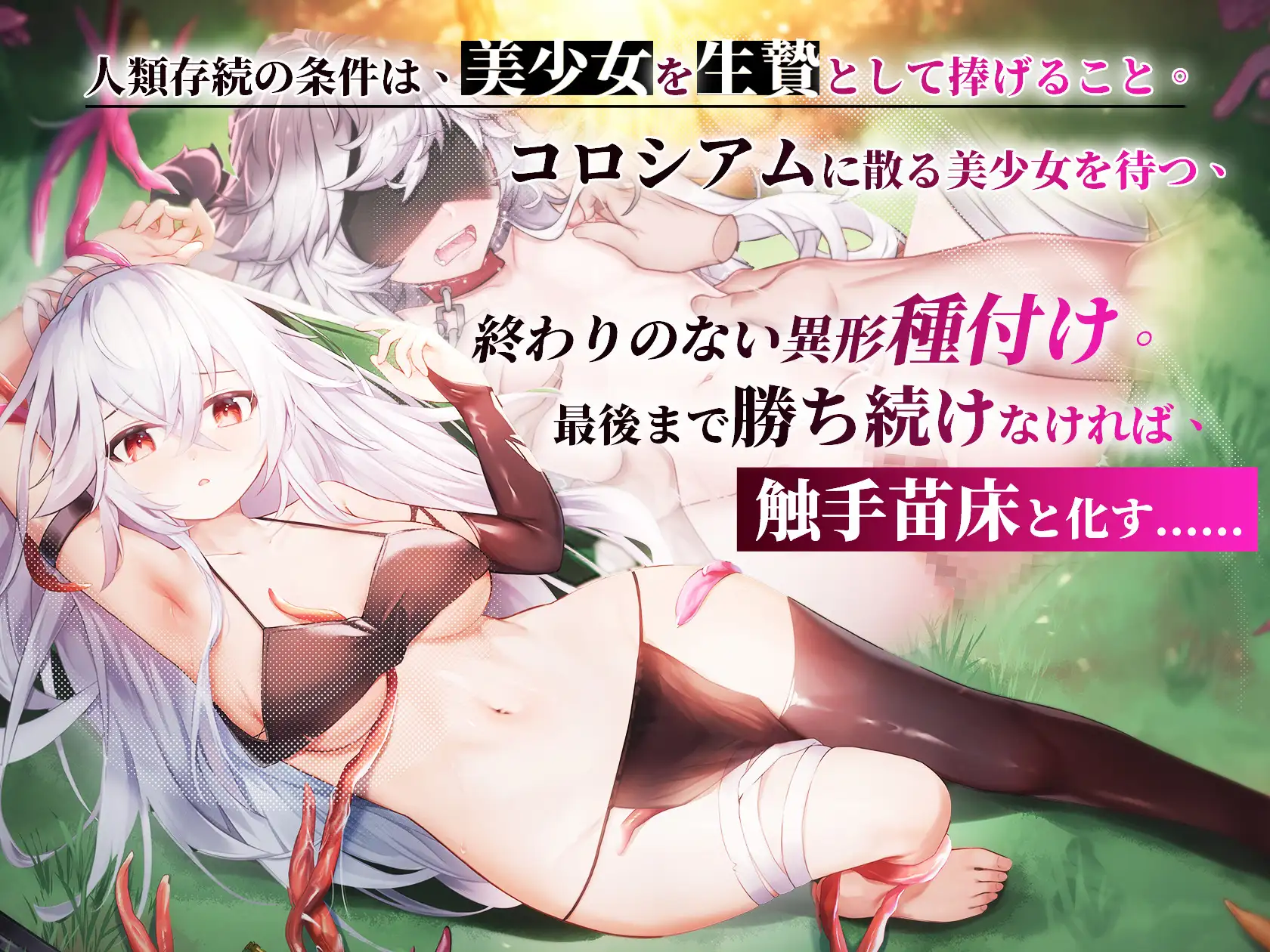 森海幻夢 妊娠/孕ませ