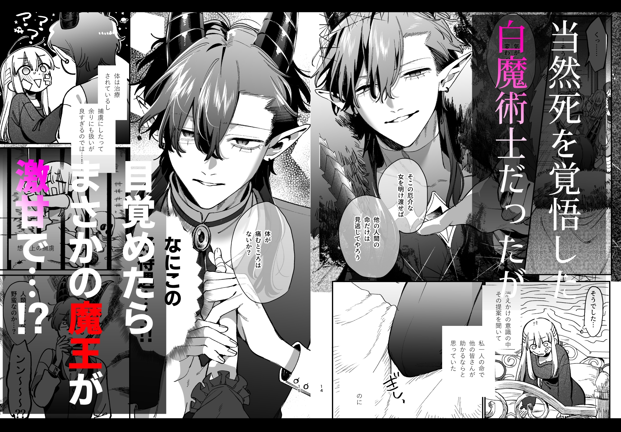 ずたぼろ白魔術師、天然魔王さまの愛玩ペットに堕ちる 画像2