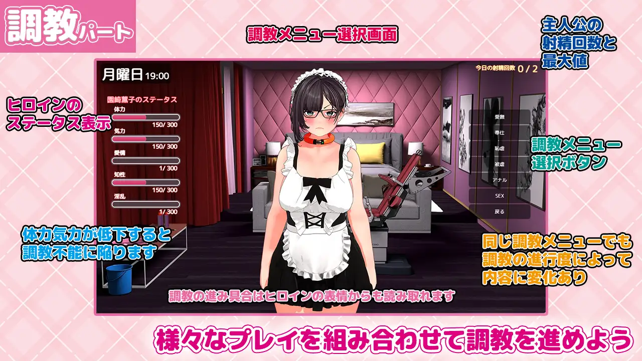 復讐 progressive SM