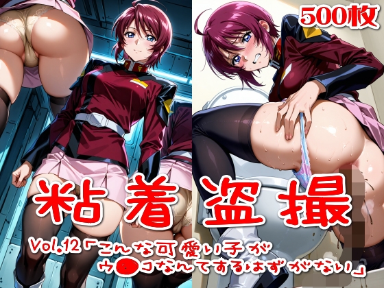【500枚】粘着盗撮Vol.12「こんな可愛い子がウ●コなんてするはずがない」