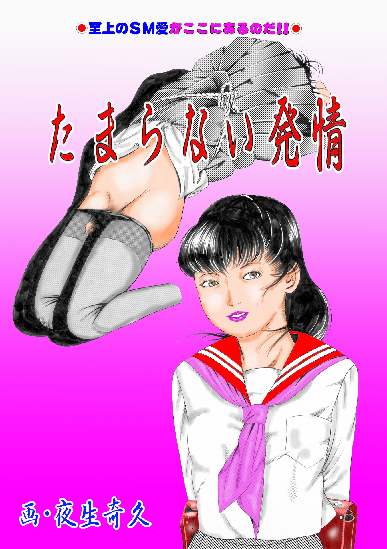 夜生奇久作品集9 少女地獄3作品 画像1