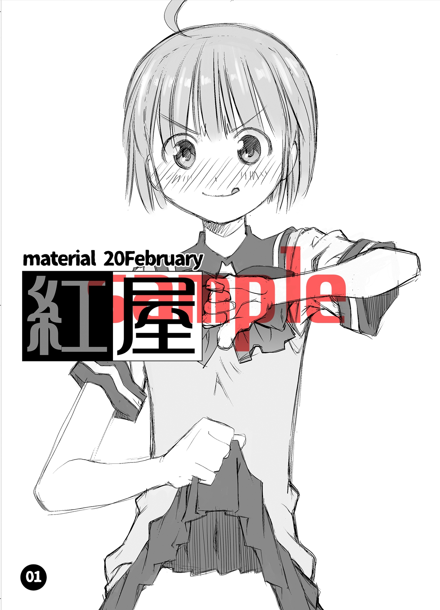 material20February 画像1