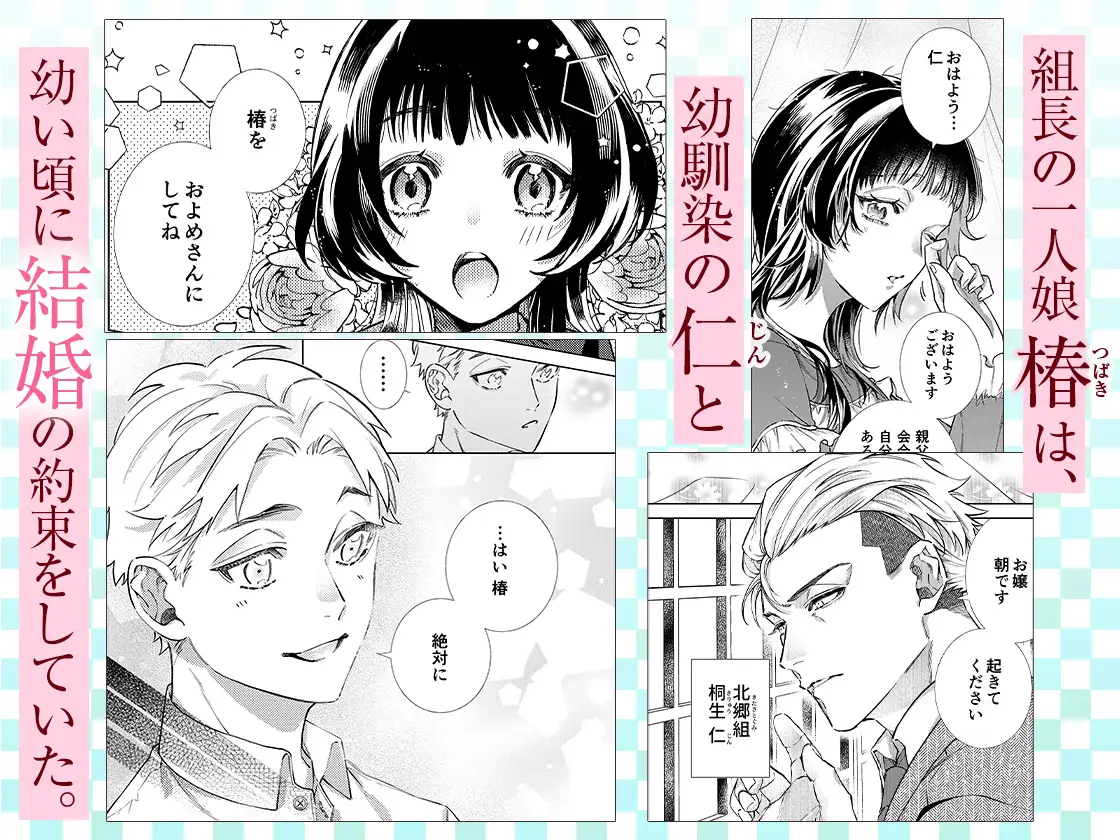 こじらせ溺愛ヤクザは愛してるが言えない～抱いてくれるまで諦めません！ サンプル画像1