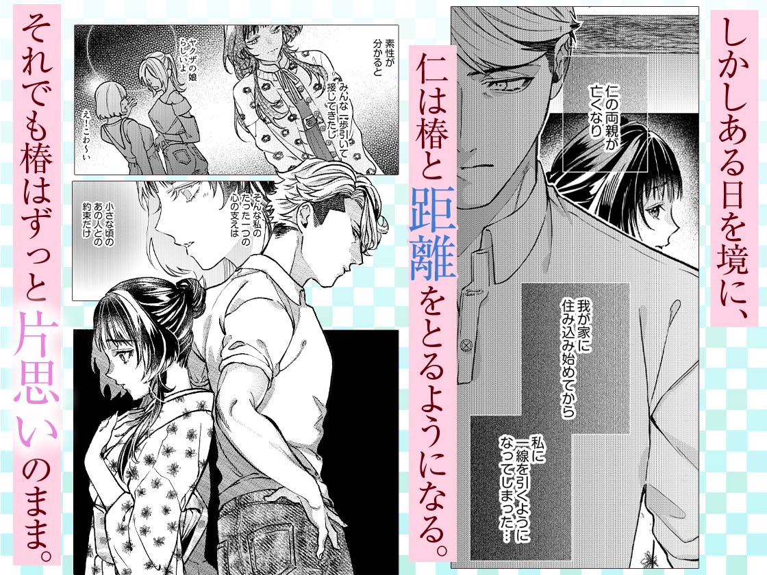 こじらせ溺愛ヤクザは愛してるが言えない～抱いてくれるまで諦めません！ 画像2