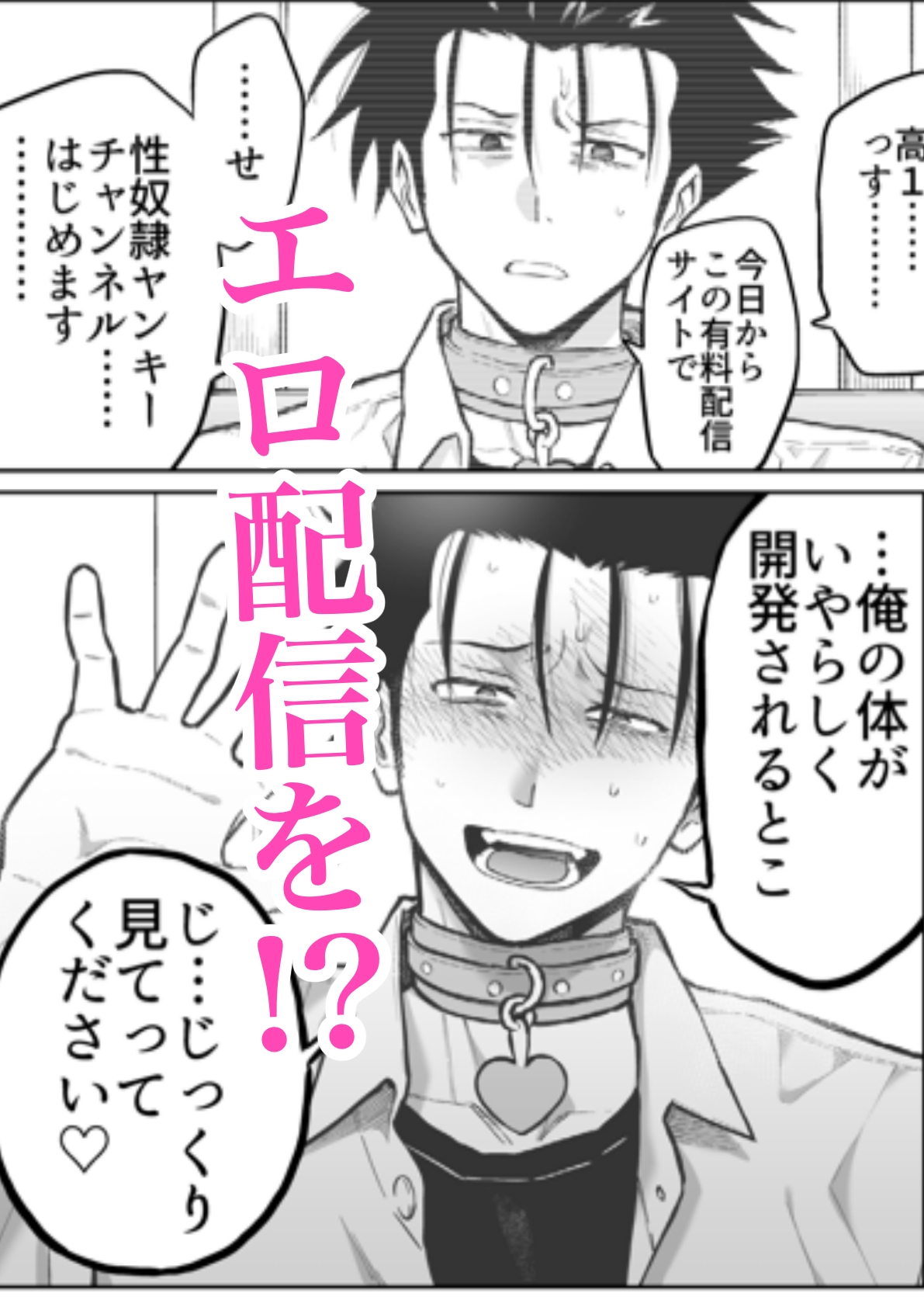 性奴○ヤンキーくん陵○チャンネル 画像2