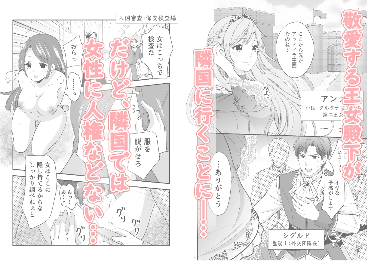 人権がなくなった王女殿下 ～入国審査編～ 画像1