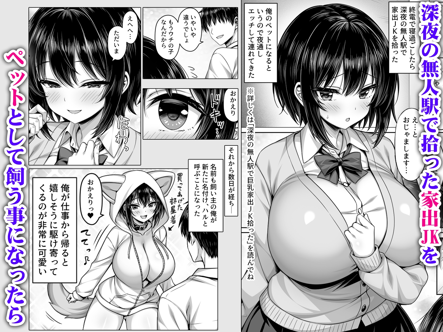 深夜の無人駅で拾った巨乳家出JKの飼い主の日常_1