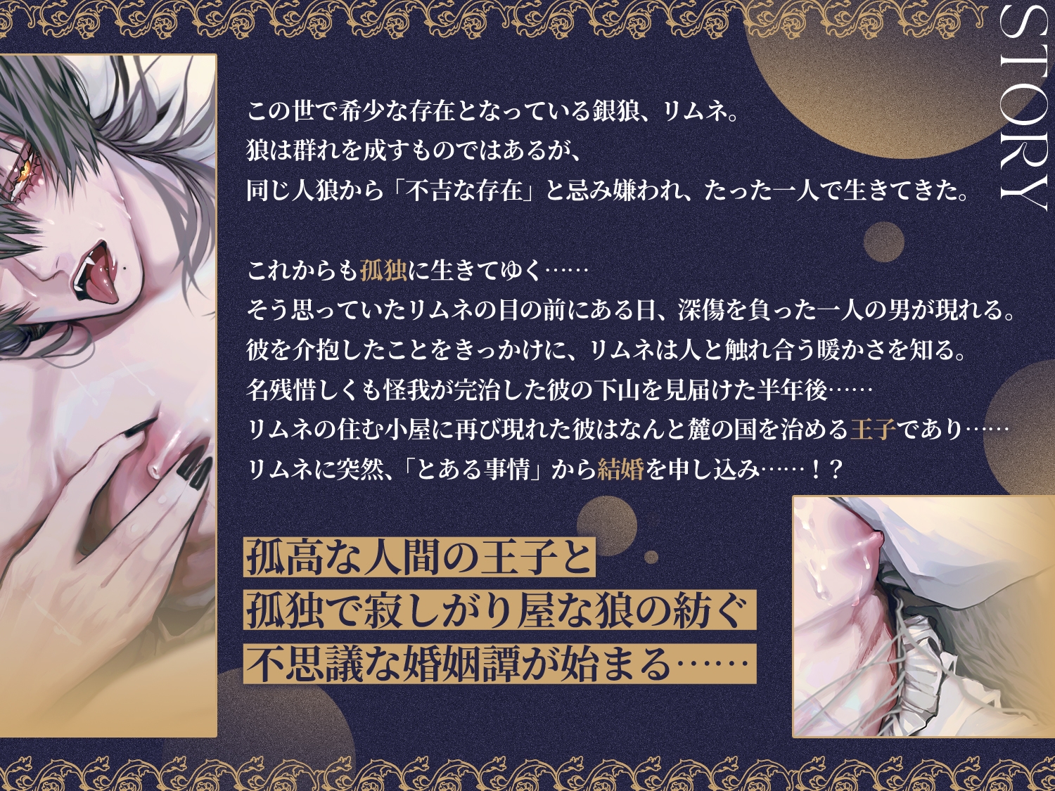 孤独銀狼と孤高王子の契約婚約譚〜心ごと溶かすような熱いくちづけと交尾で芽生える恋〜 画像1
