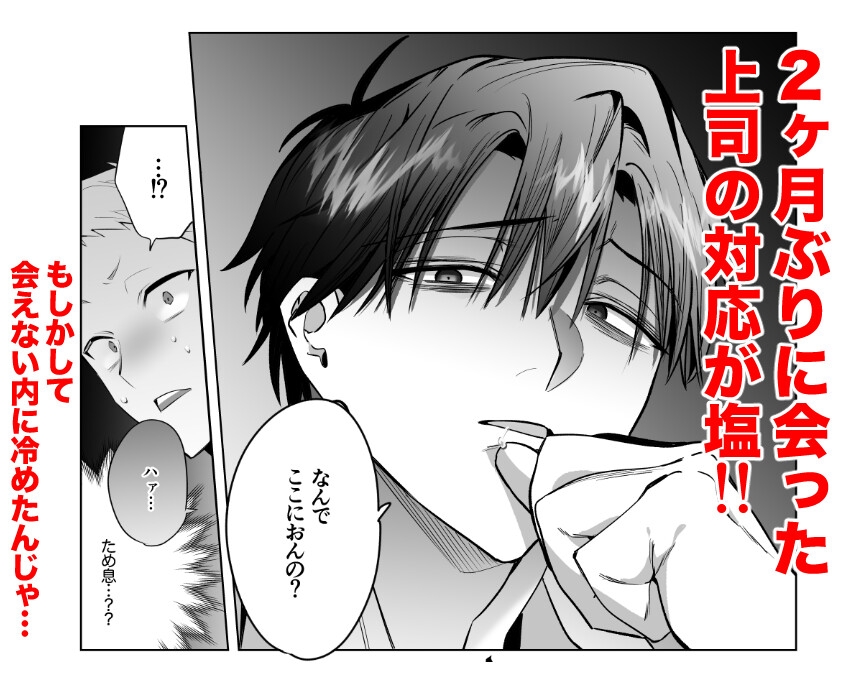 遠距離恋愛で2カ月お預け♡性欲限界ガン掘り女装調教H 画像2