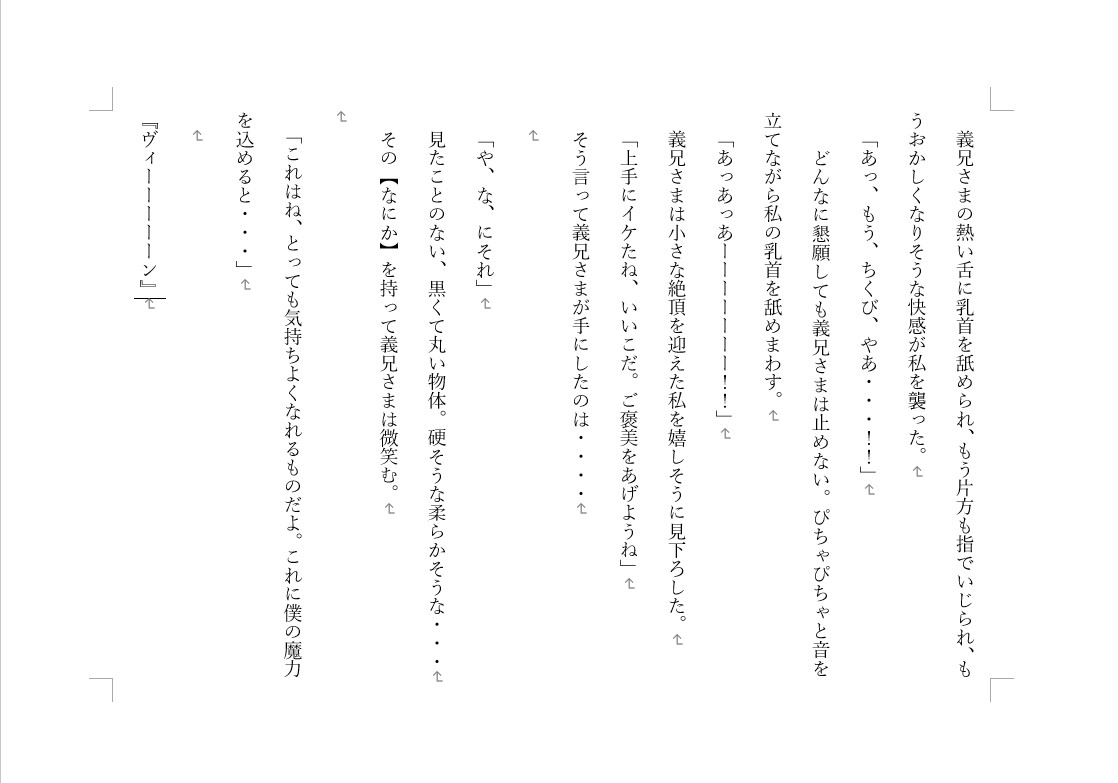 禁蜜～歪んだ義兄の執着愛2～ 画像1