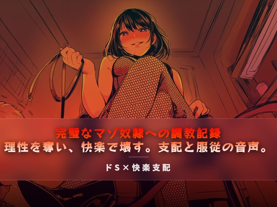 完璧なマゾ奴○への調教記録