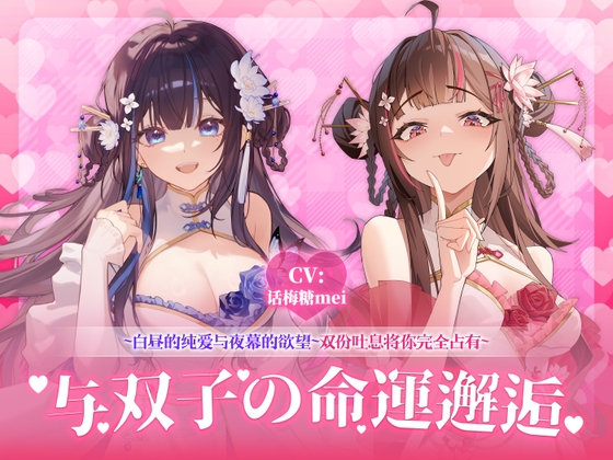 与双子的命定邂逅