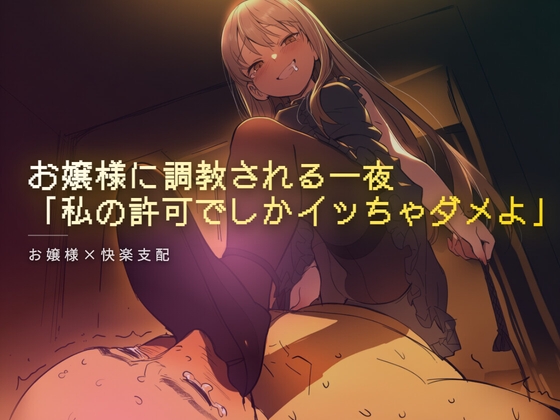 お嬢様に調教される一夜