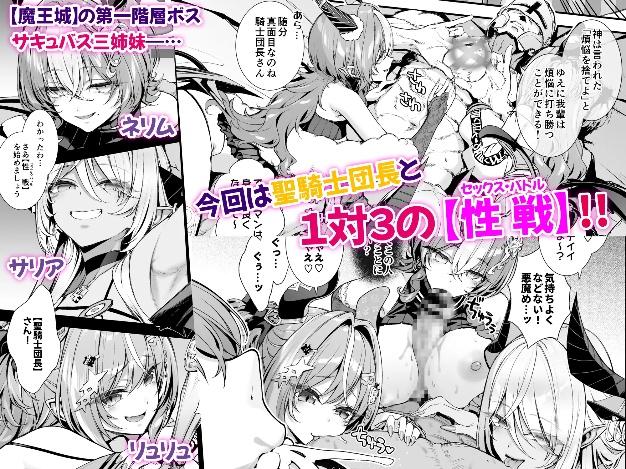 魔王城のサキュバス2 〜VS.聖騎士〜-サンプル画像0