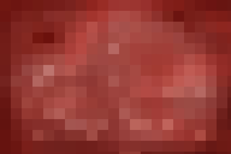 クレイジーサイコメイド～DV、妊娠、出産、衰弱死～_2