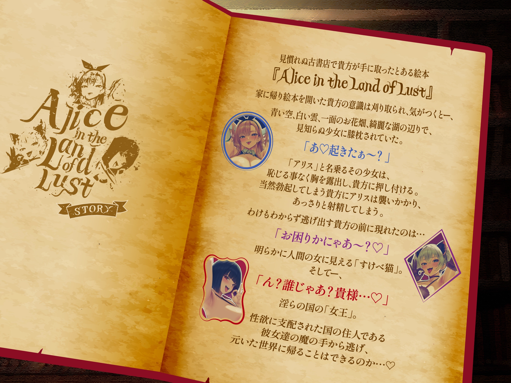 【逆レ○プ】淫らの国のアリス〜古本屋で見つけた絵本の世界に迷い込んだ貴方と、淫らで不思議などすけべ物語〜 画像1