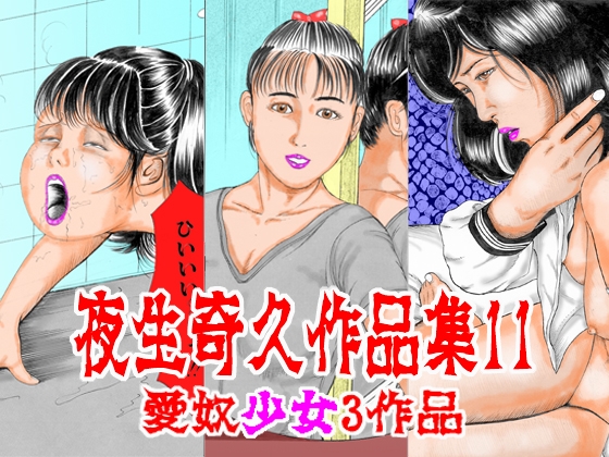 夜生奇久作品集11 愛奴少女3作品
