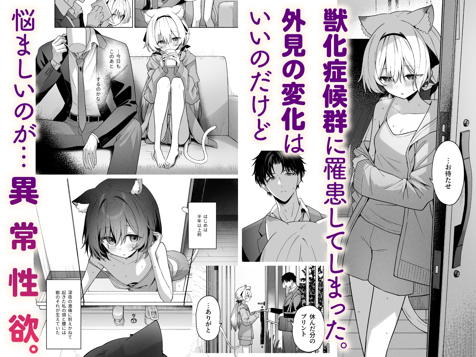 アニマルシンドローム_1