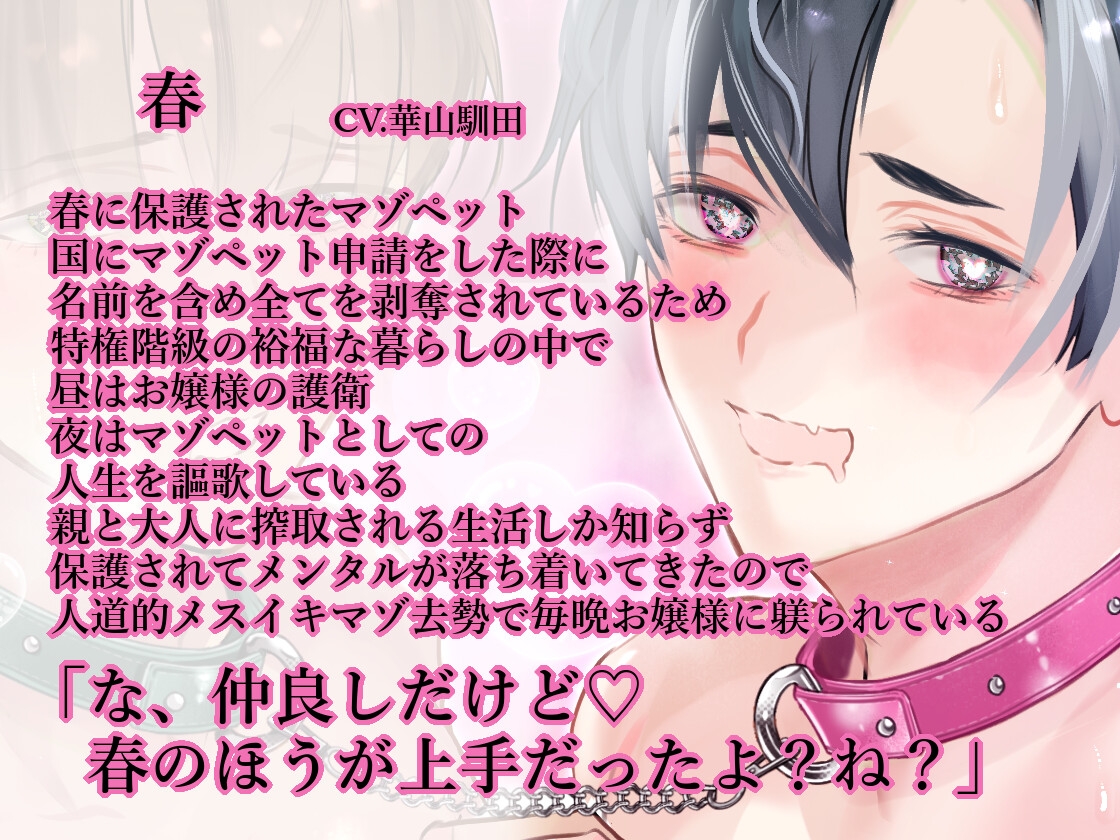 【春・秋編/溺愛男性受け/マゾエロ去勢れっすん】春夏秋冬マゾペット【KU100】-1画像