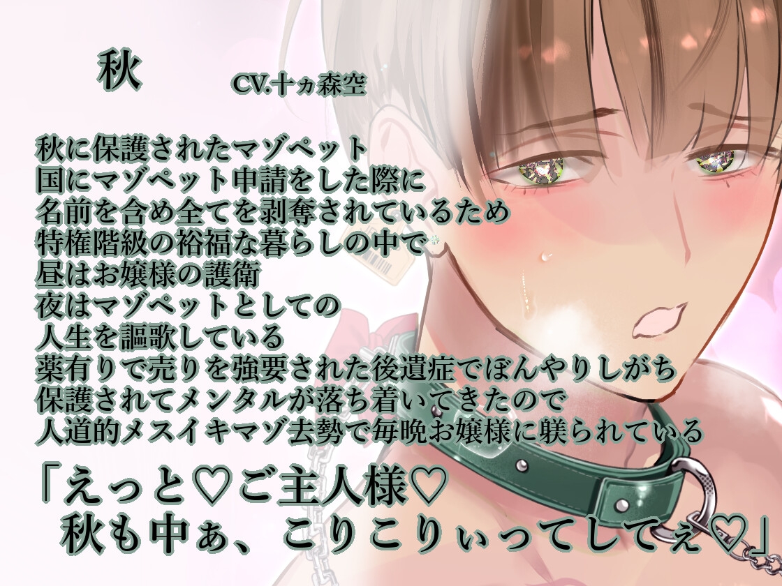 【春・秋編/溺愛男性受け/マゾエロ去勢れっすん】春夏秋冬マゾペット【KU100】-2画像