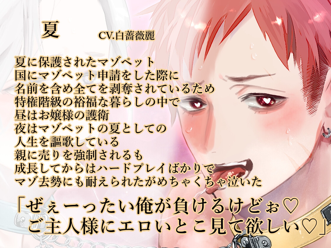 【夏・冬編/溺愛男性受け/マゾエロ去勢れっすん】春夏秋冬マゾペット【KU100】-1画像