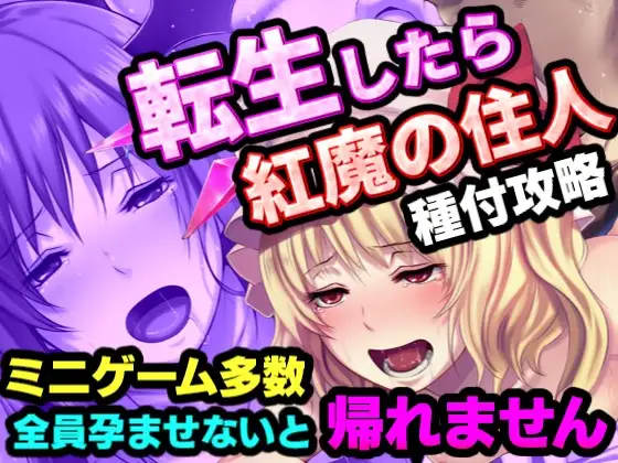転生したら紅魔館の住人だった件 ジャケット画像