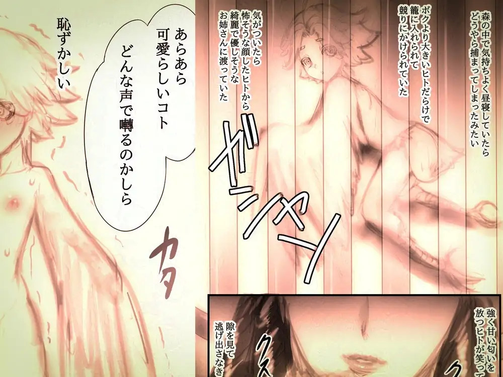 カナピュリオ-ショタハーピィは巨女に請い奏でる- サンプル画像 2