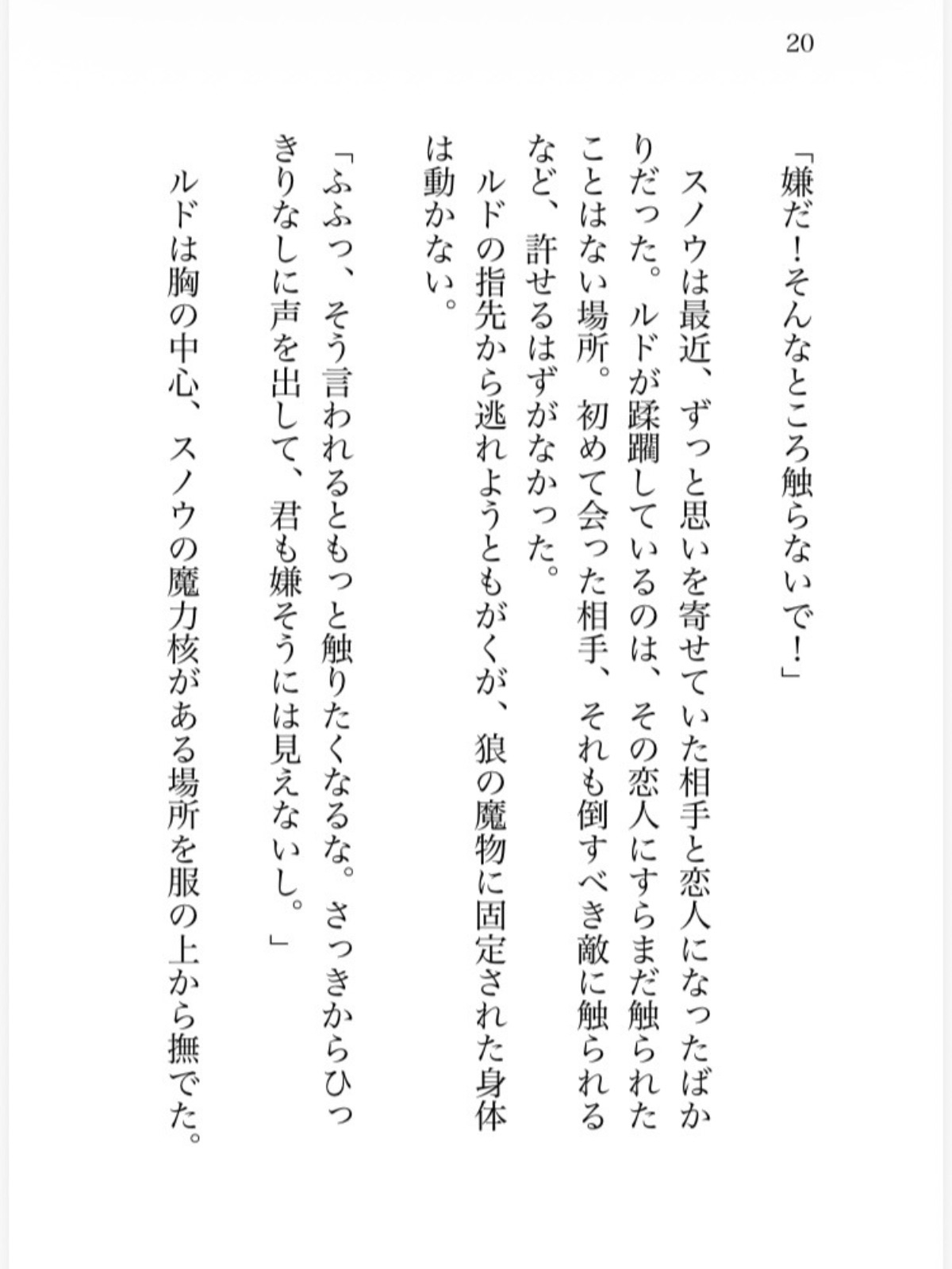 氷の魔法少女は魔族幹部の執着熱に甘く溶かされる 画像3