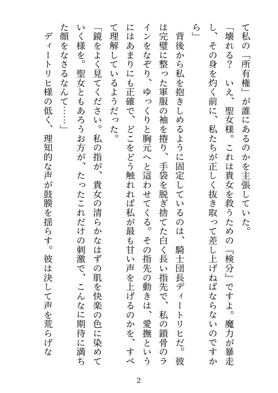 異世界転移した私が、二人の騎士に愛されすぎて帰れない～冷徹な上司と狂犬な部下のサンドイッチ調教～ 画像2