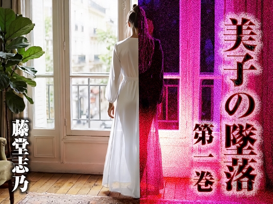 美子の墜落 第一巻