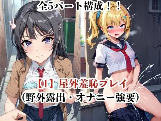 肉玩具認定証発行！！街の性処理係堕ち。―快楽と恥辱の記録―桜●麻衣＆豊●のどか編 サンプル画像 3