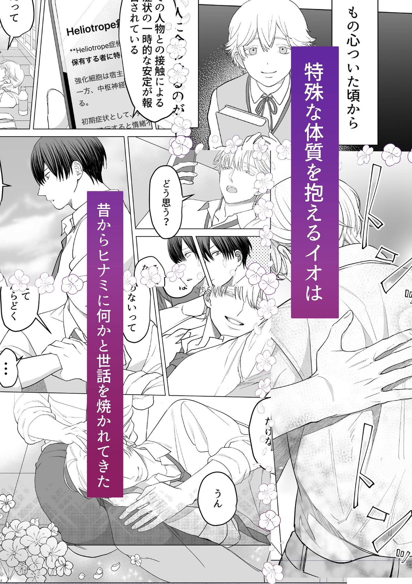 ヘリオトロープは夜に 画像2