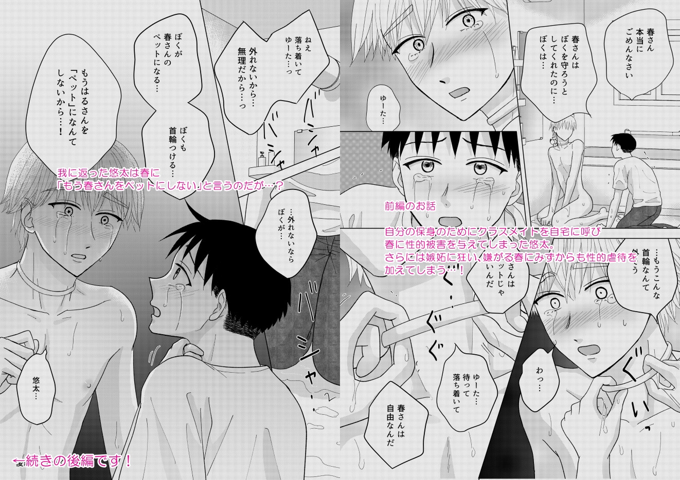 ぼくのペットのお兄さん6・後編 [らんらんらん] | DLsiteがるまに 2