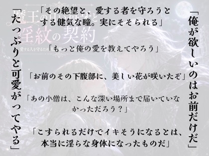 魔王の甘い毒牙と淫紋の契約〜愛する人を守るため、私は極上の快楽に蕩かされる〜 画像1