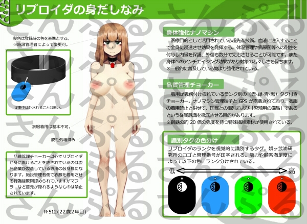 RIBROIDA―少子化対策特殊従事職員―_1