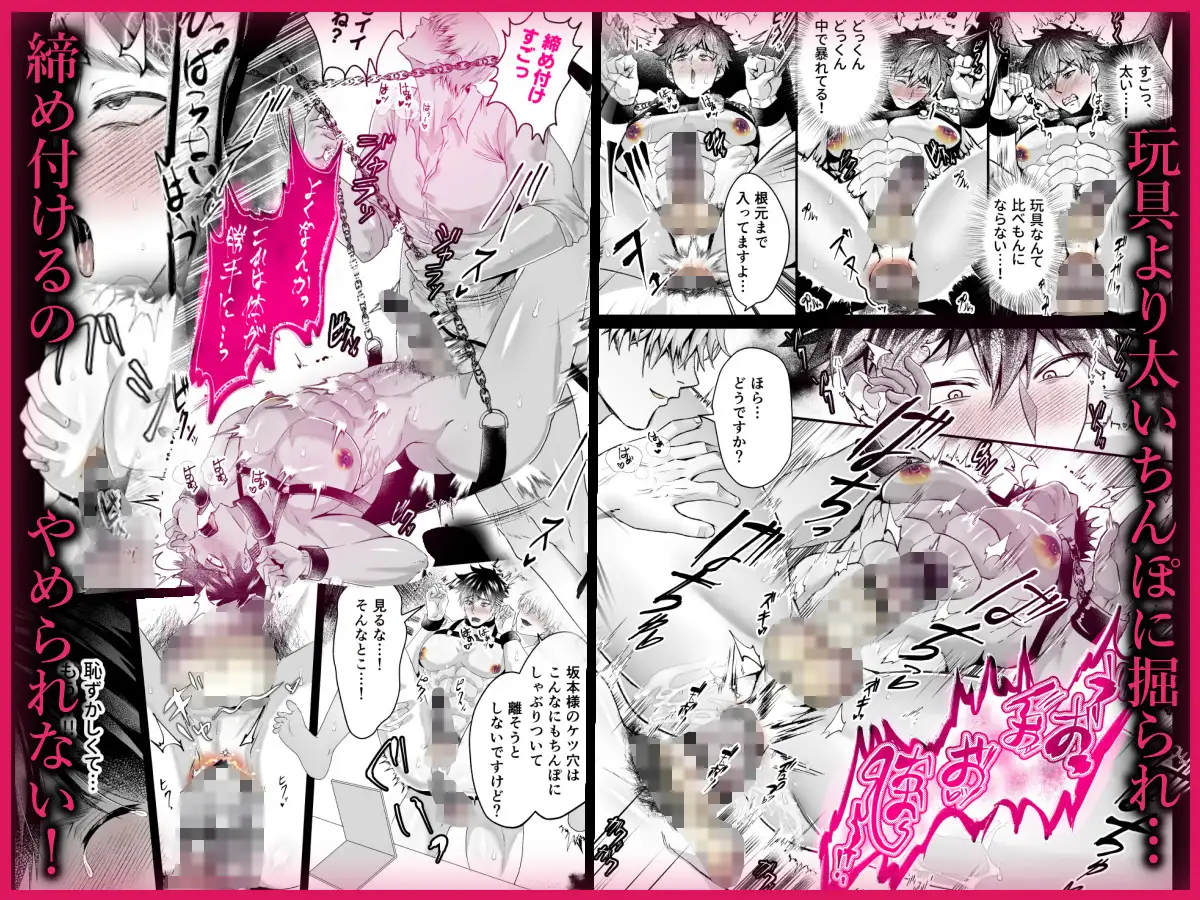 サンプル画像5