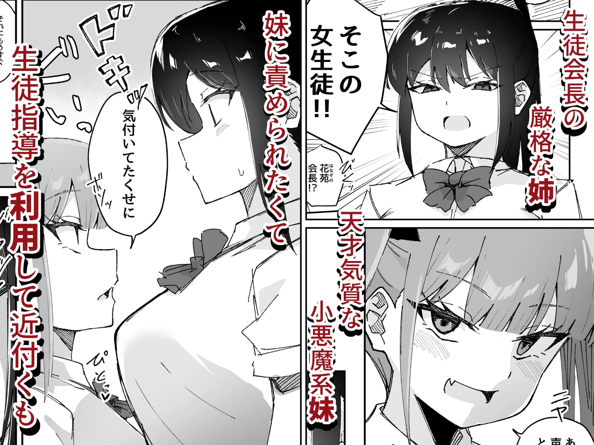 激弱乳首な堅物お姉ちゃんは小悪魔妹に逆らえない！ 画像1