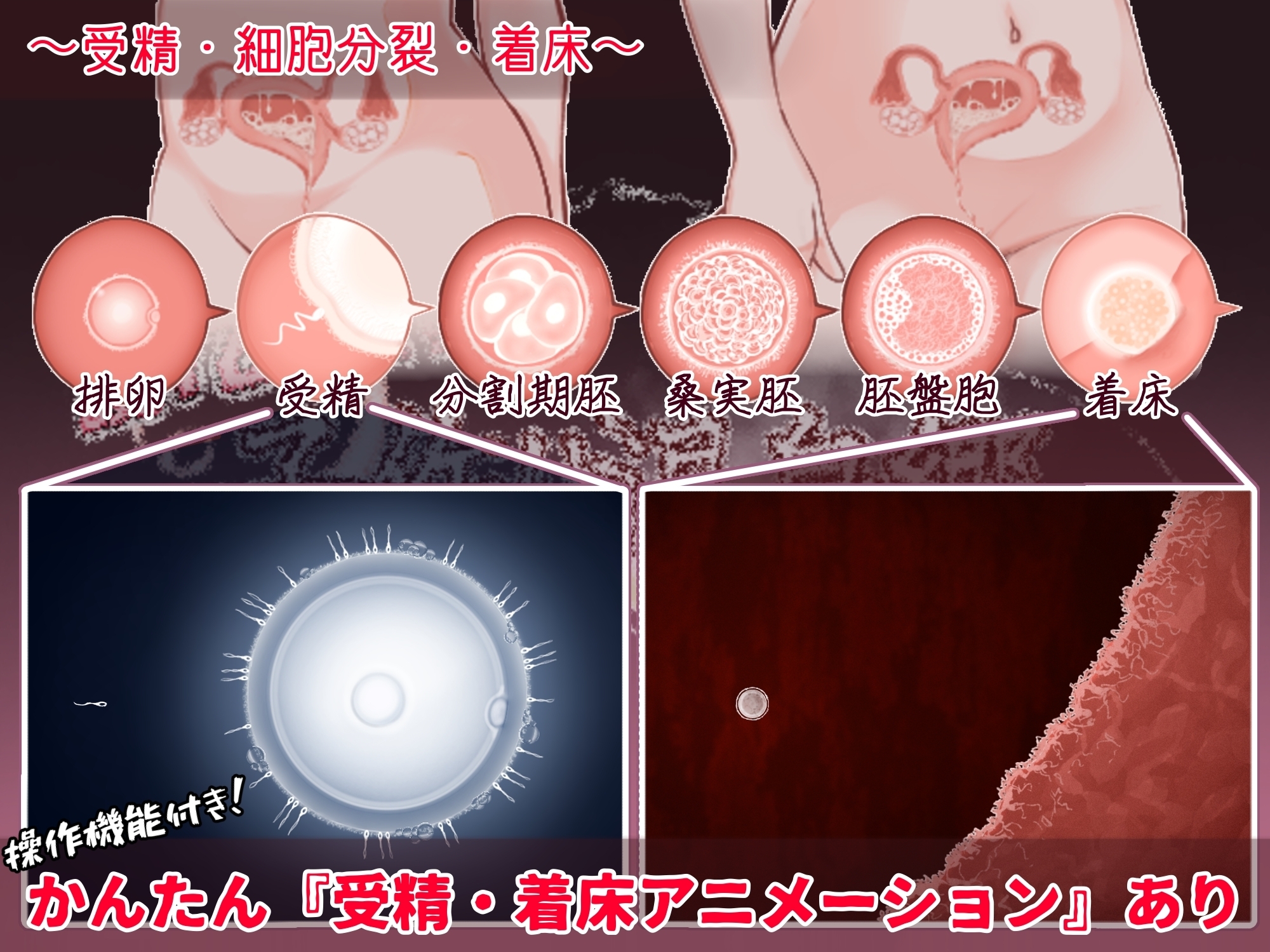 【スマホ版】おいでませ！子作り温泉郷 画像4