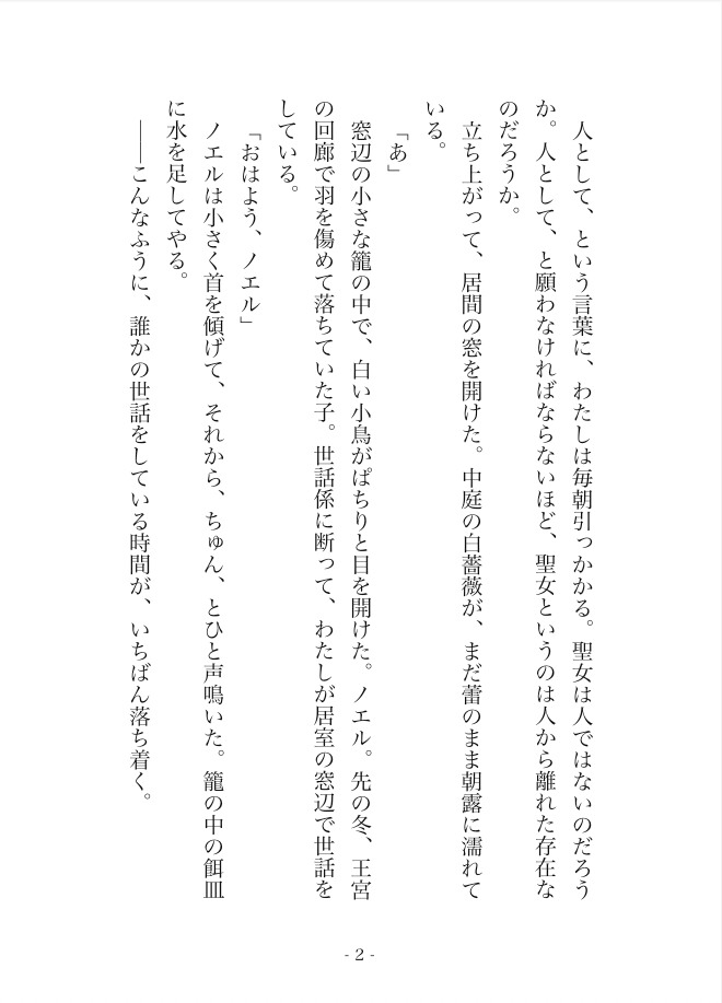騎士団長様、聖女の初夜は私には荷が重いです 〜黒髪騎士の独占愛から逃げられない〜 画像2
