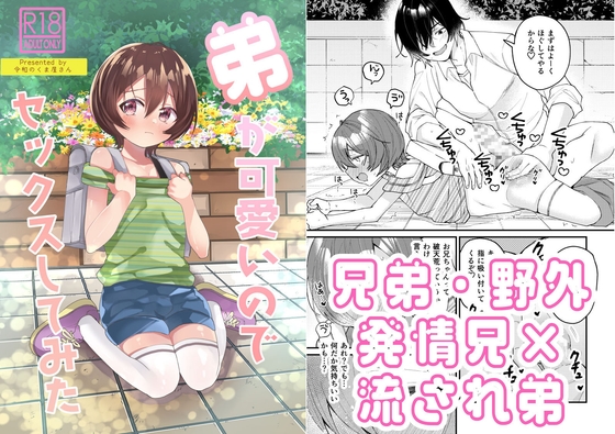弟が可愛いのでセックスしてみた