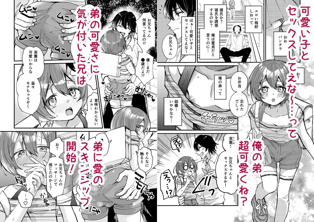 弟が可愛いのでセックスしてみた 画像1