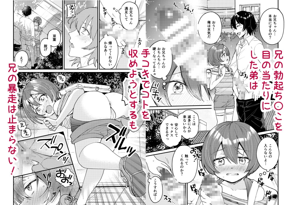 弟が可愛いのでセックスしてみた 画像2